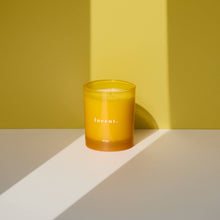 Load image into Gallery viewer, Lucent 7oz Candle - Sunshine + Cedar

