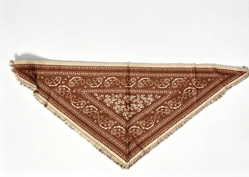 TR-2 Soft Triangle Bandana