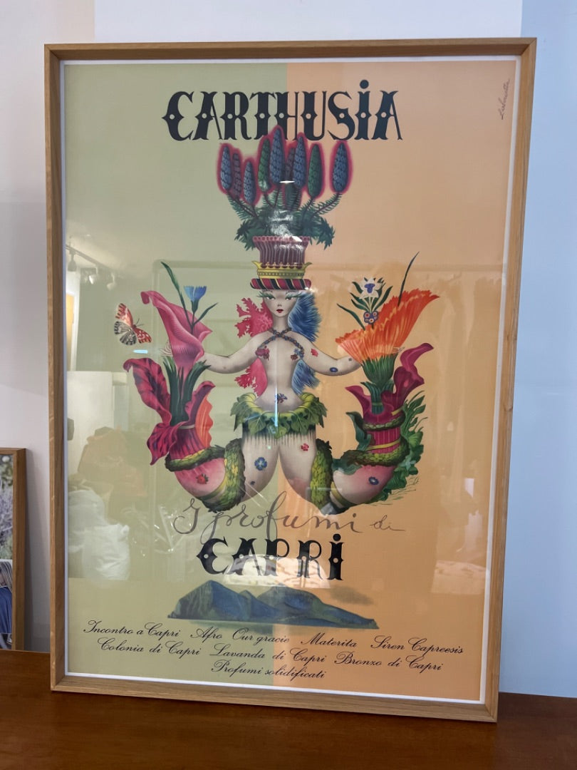 Carthusia  carthusia framed Poster, Size 72cm x 102cm